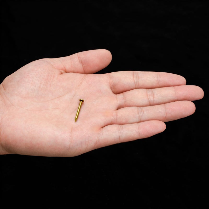 Hardware Philosophy Pure Brass Nails  0.8 Inch  Bag of 100 - Architectural  Interior Design  Doors  Furniture Cabinet Customization Hardware - Image 5